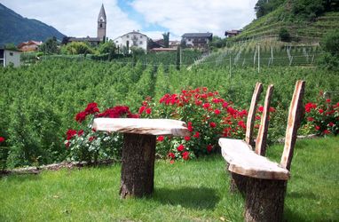 Residence Winklgut 2 Sterne Algund, Meran & Umgebung, Südtirol, Designhotel Residence Winklgut 2 Sterne Algund, Meran & Umgebung, Südtirol, Designhotel